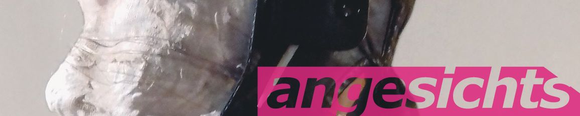 angesichts – NOLI ME TANGERE