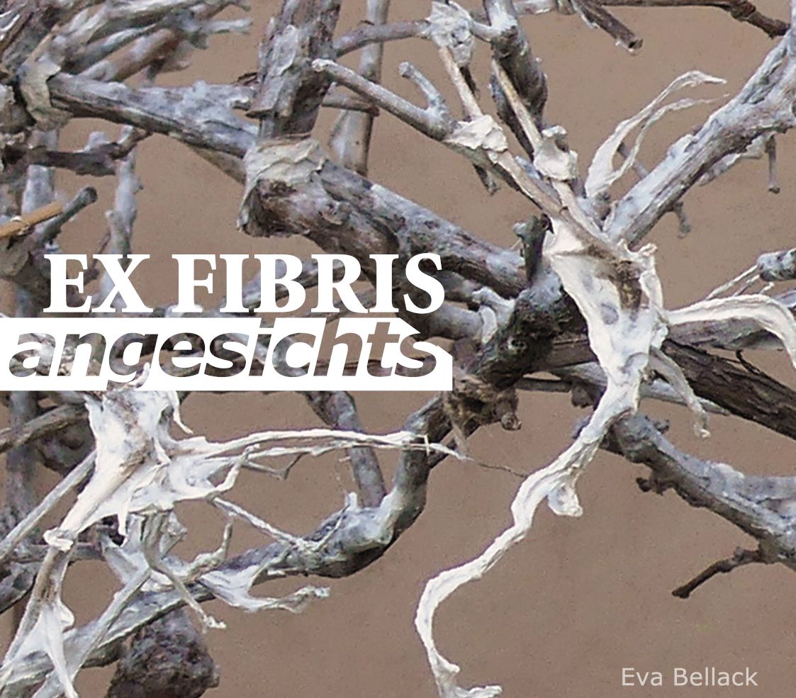 angesichts ex fibris